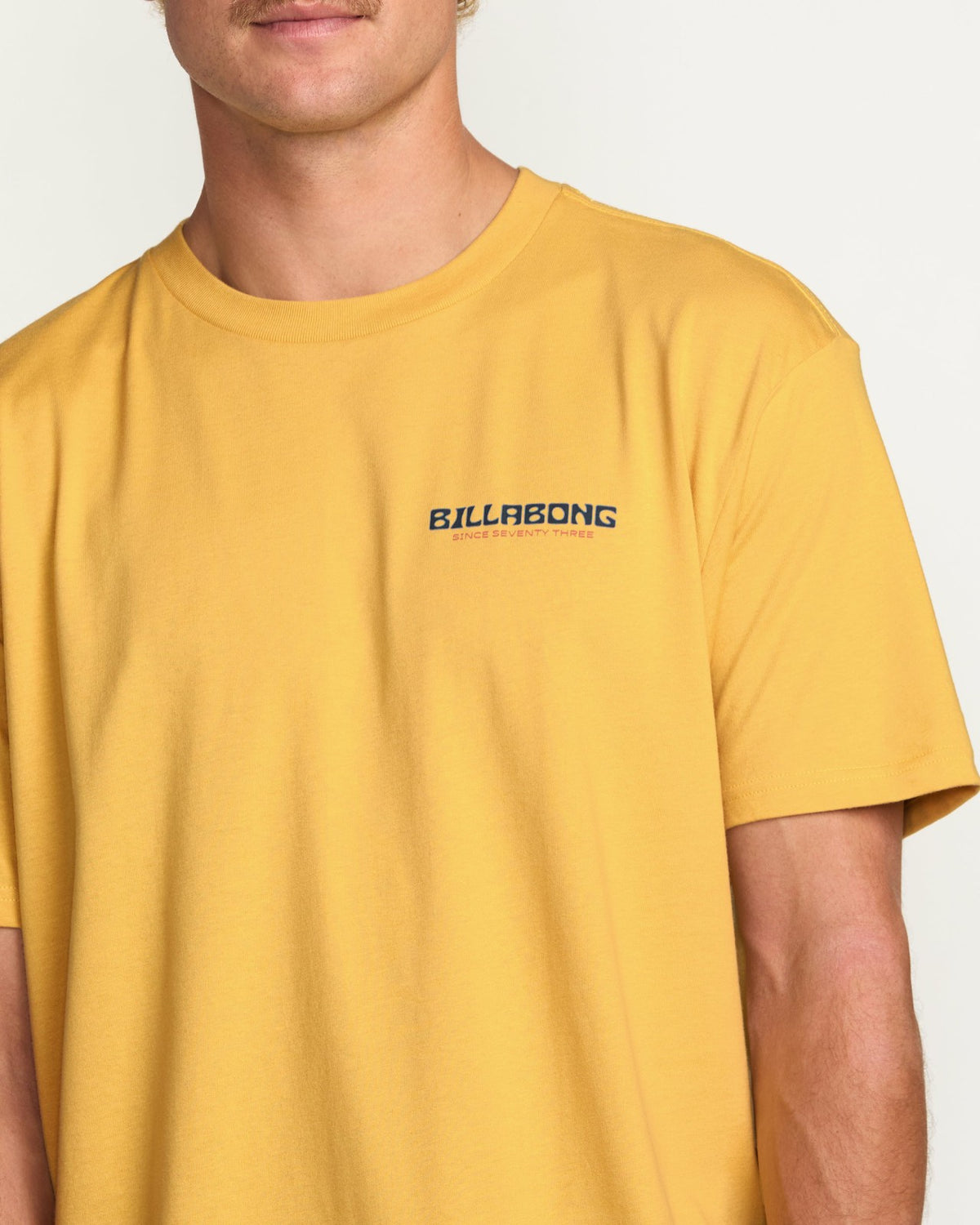 Billabong Window Premium Tee - Vintage Gold