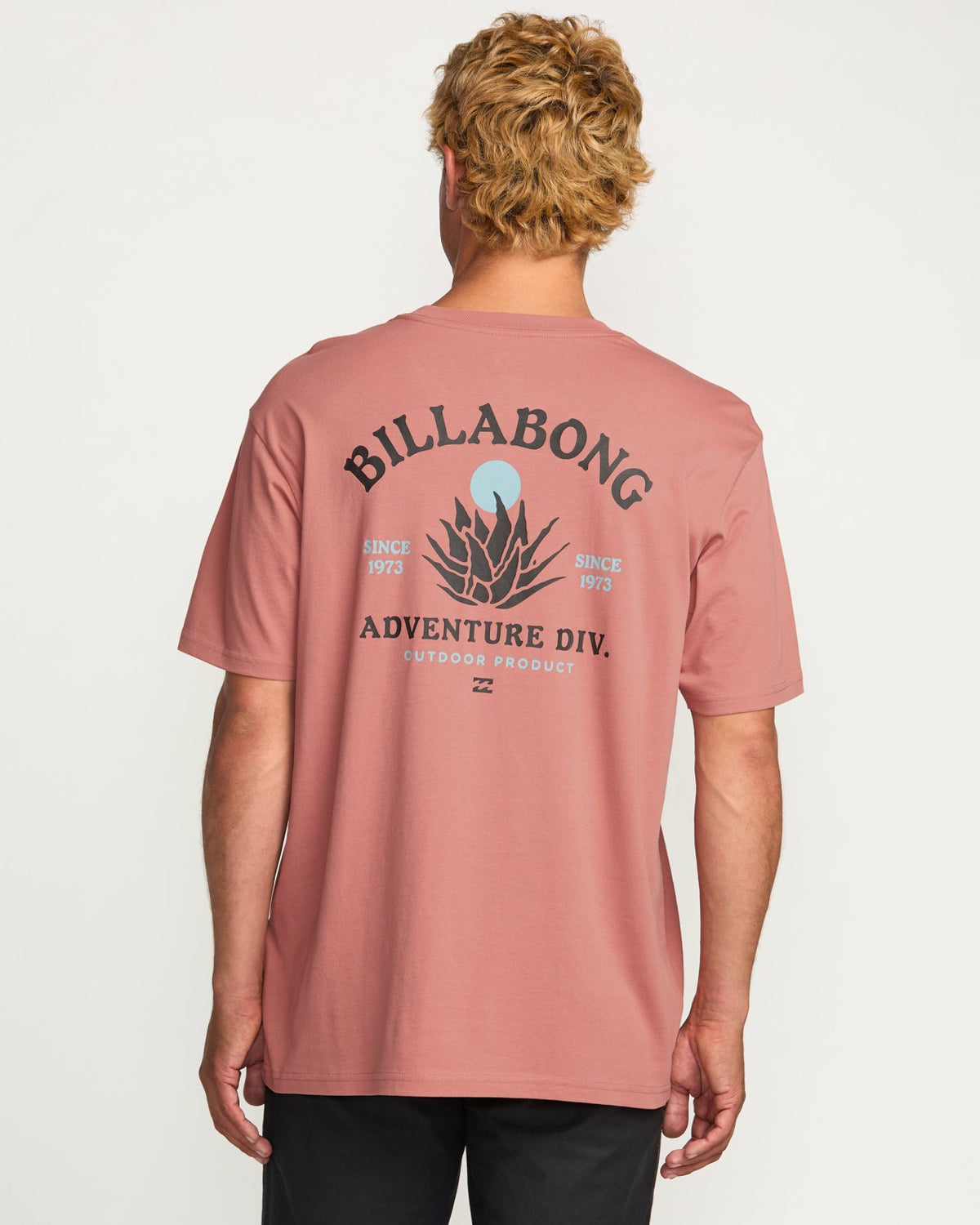 Billabong A/Div Agave Tee - Dusty Rose