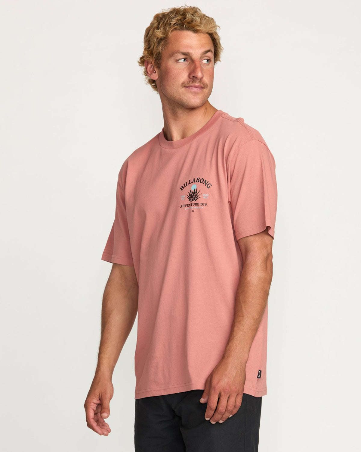 Billabong A/Div Agave Tee - Dusty Rose