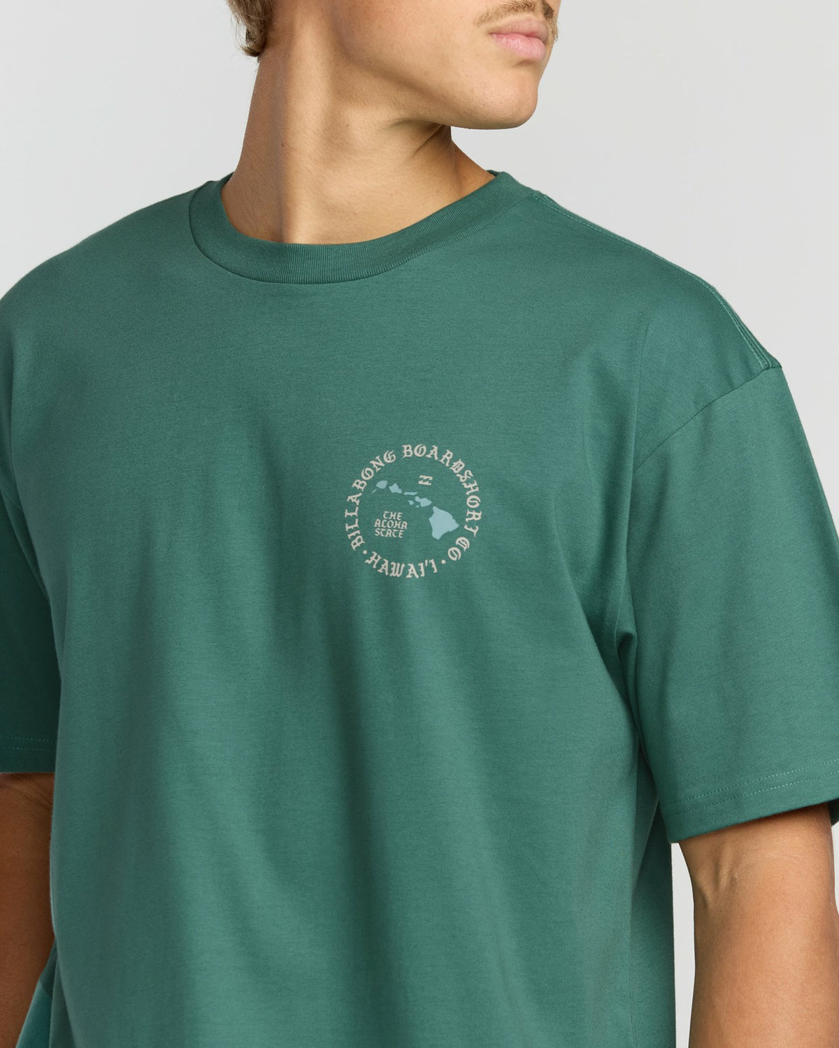 Billabong Aloha Island Hi Regular Short Sleeve T-Shirt - Sage Green