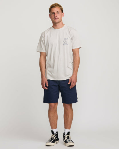 Billabong Catch One Premium Wave Wash Tee - Silver