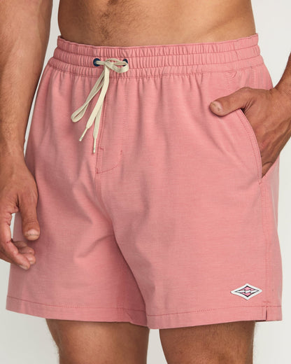 Billabong Every Other Day Laybacks 16" Trunks - Dusty Rose