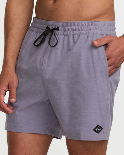 Billabong Every Other Day Laybacks 16" Trunks - Lavender
