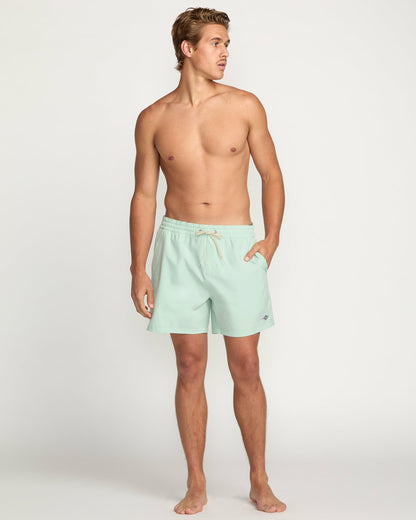 Billabong Every Other Day Laybacks 16" Trunks - Seafoam