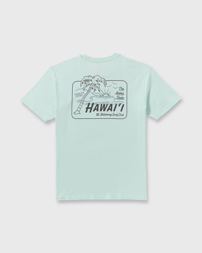 Billabong Lounge Hi Premium Short Sleeve T-Shirt - Sea Glass