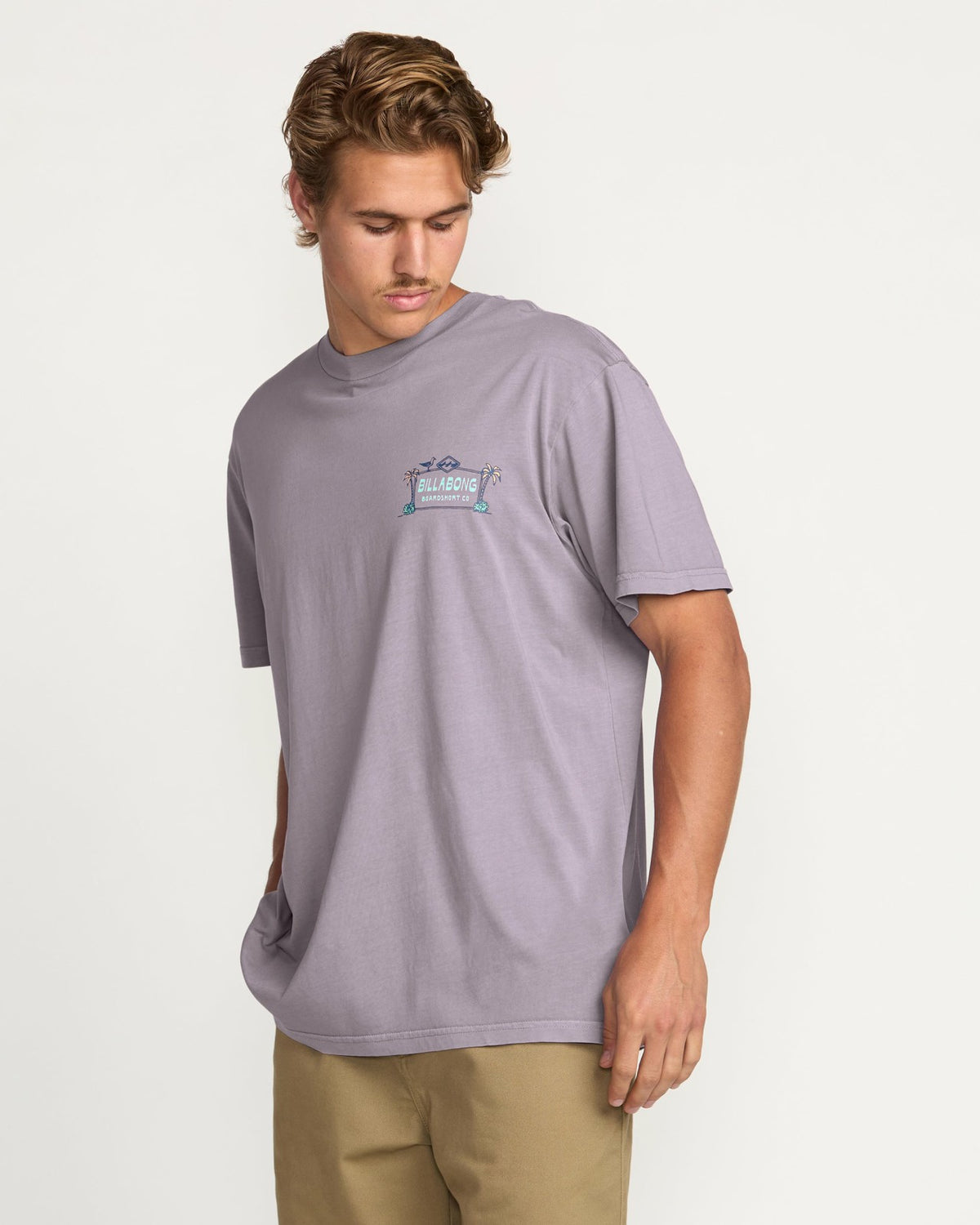 Billabong No Vacancy Premium Wave Wash Tee - Light Purple