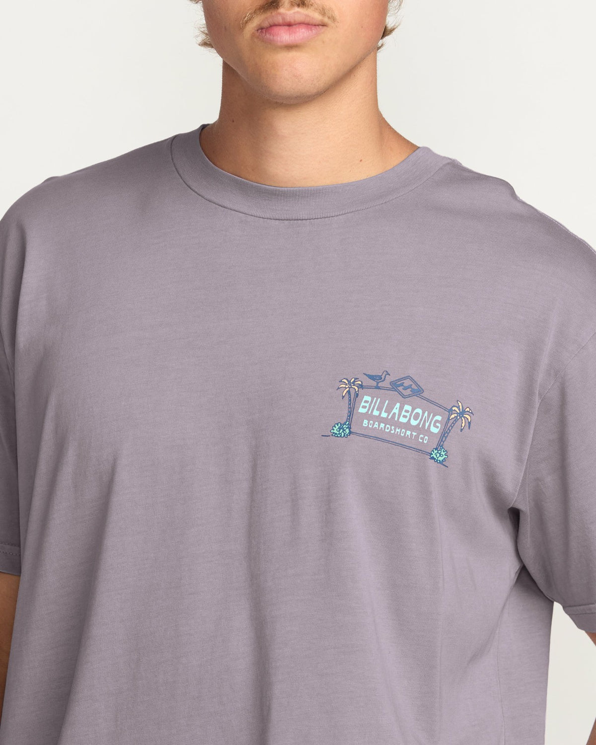 Billabong No Vacancy Premium Wave Wash Tee - Light Purple