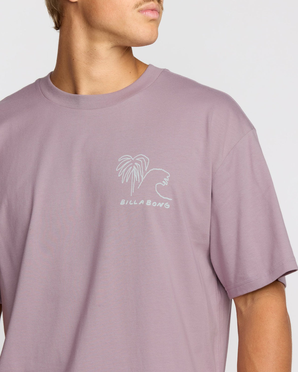 Billabong Scenes Regular Short Sleeve T-Shirt - Purple Ash