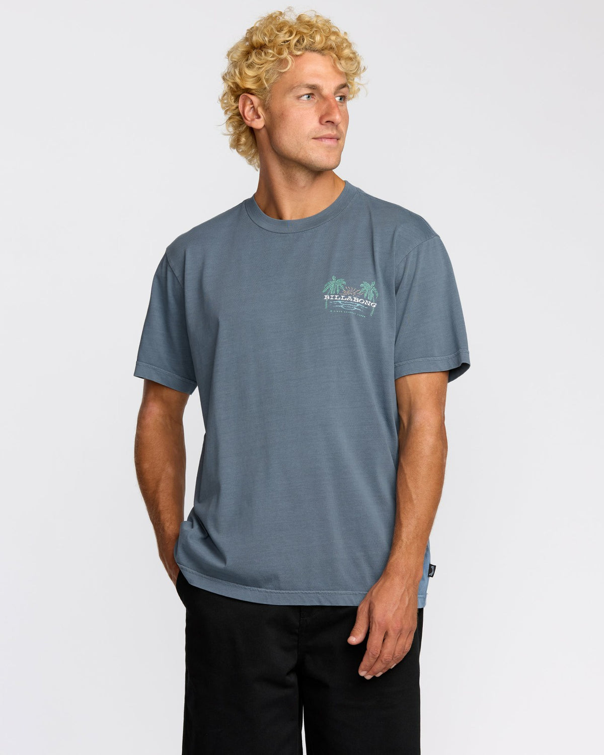Billabong Social Lounge Premium Wave Wash Short Sleeve T-Shirt - Steel Blue