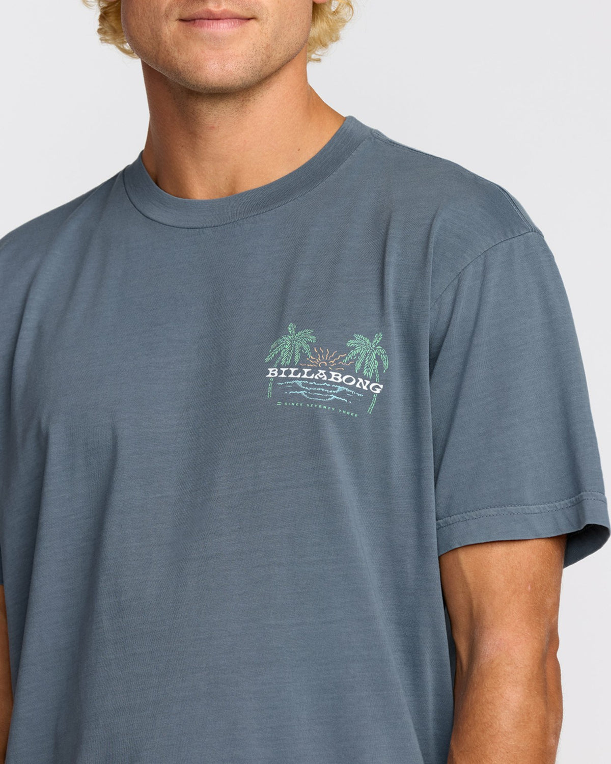 Billabong Social Lounge Premium Wave Wash Short Sleeve T-Shirt - Steel Blue
