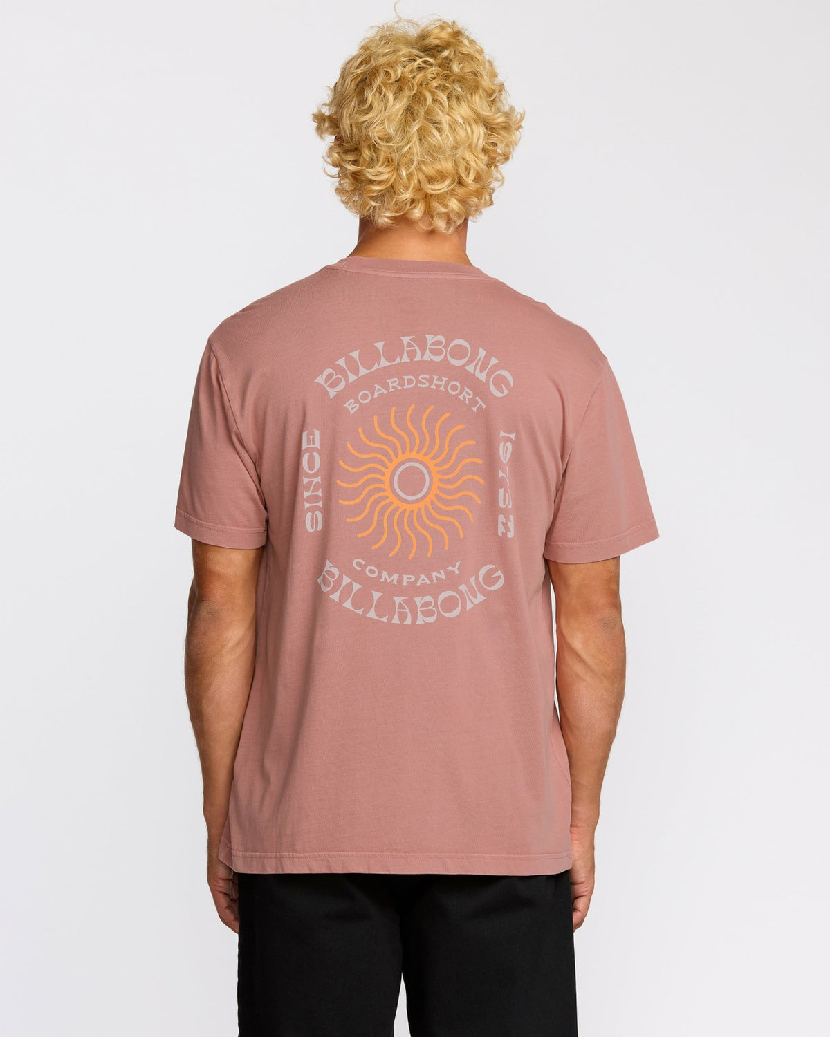Billabong Sunrise Premium Wave Wash Short Sleeve T-Shirt - Dusty Rose